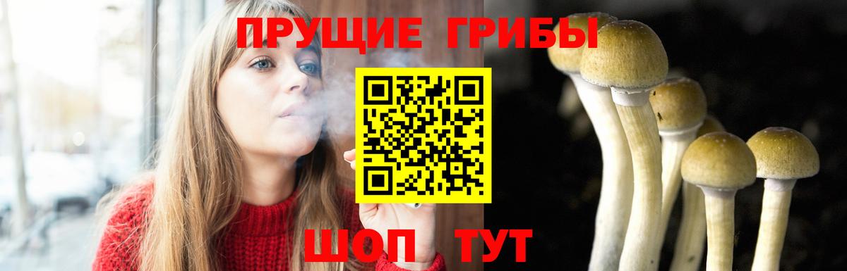 Псилоцибиновые грибы прущие грибы Сегежа