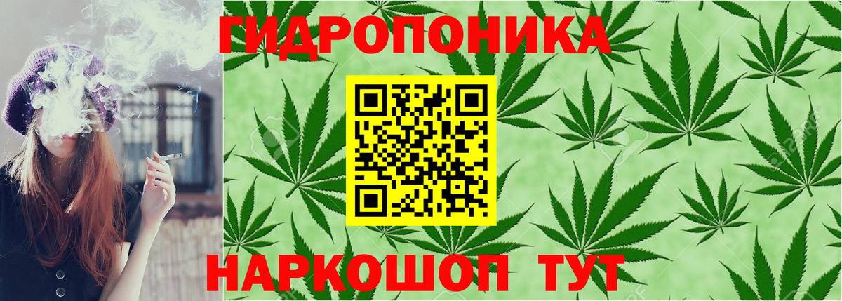 Каннабис ГИДРОПОН  Вход с VPN  МАРИХУАНА Amnesia  Шишки марихуана OG Kush  Сегежа  Бошки марихуана AK-47 